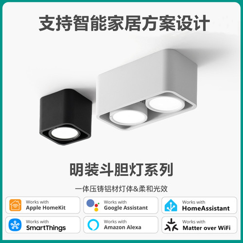 Matter苹果Homekit智能斗胆灯