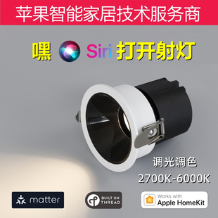 Matter雷士照明智能射灯调光调色苹果 Siri/Alexa/Homekit/Google