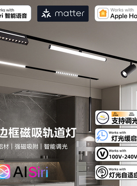 Homekit苹果Homekit智能家居磁吸轨道灯嵌入式格栅泛光预埋无主灯