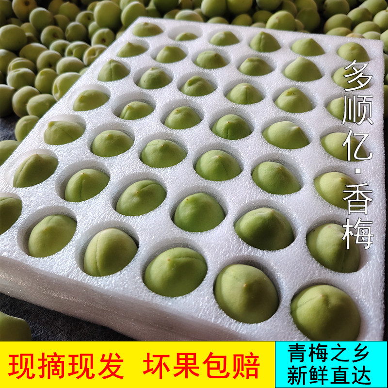 多顺亿青梅果新鲜梅子香梅福建野生酸梅现摘泡酒酵素脆梅5斤精装