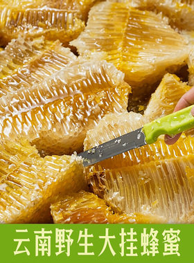 深山野生大挂蜂蜜树排蜂纯正天然大排野蜜百花蜜1斤 土蜂蜜蜂巢蜜