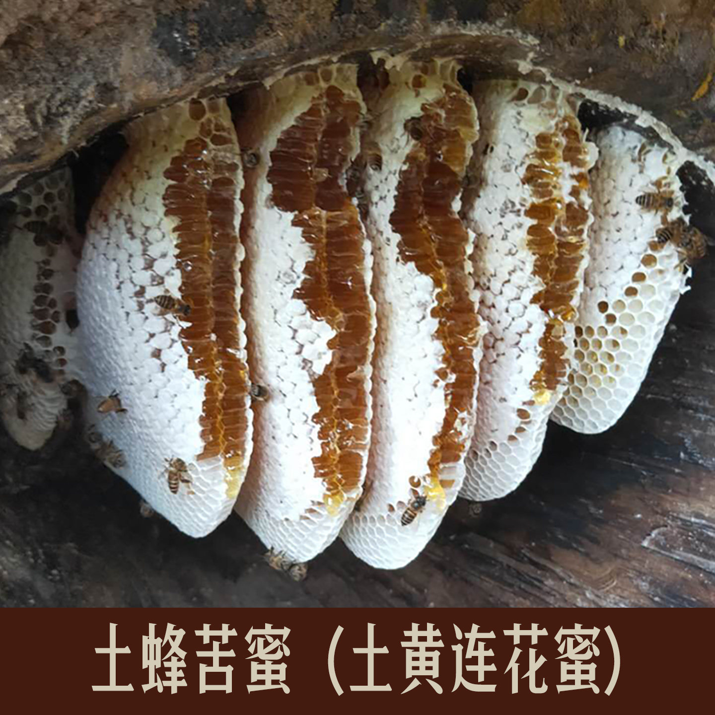云南苦蜜野生蜂蜜 药花蜜 纯正天然百花蜜农家自产木桶土蜂蜜
