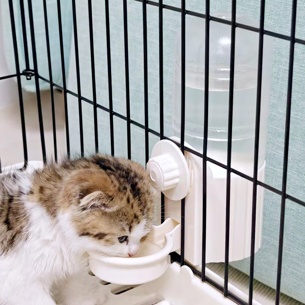 拉士格猫咪饮水器大容量水壶