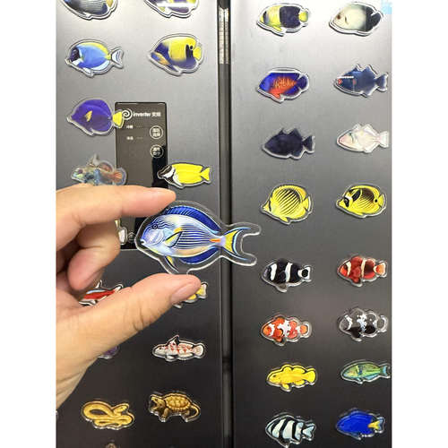 海水族冰箱贴海缸红海骑士贼仙类文创海水鱼系列亚克力冰箱贴包邮
