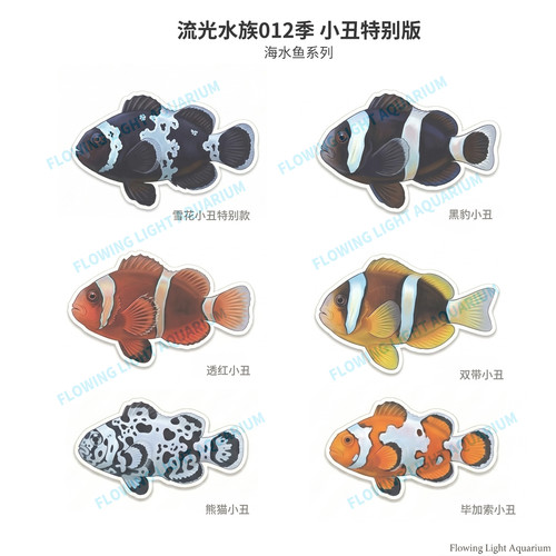 水族冰箱贴海缸小丑鱼类文创冰箱贴海水鱼系列亚克力冰箱贴包邮