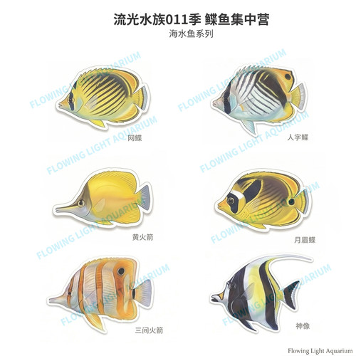水族冰箱贴海缸鲽鱼三间火箭类文创冰箱贴海水鱼系列亚克力包邮