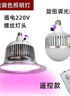 led水果专用灯可调色220V水果生鲜灯卤菜卤肉灯熟食店新款生鲜灯