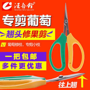 汪吾铨葡萄修果专用剪刀翘头修枝剪花椒枇杷橘子疏果稀果剪2108