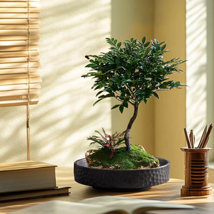 陶瓷花器胡椒木专用花盆中式家用绿植吸水盆剑山插花器桌面摆件盆