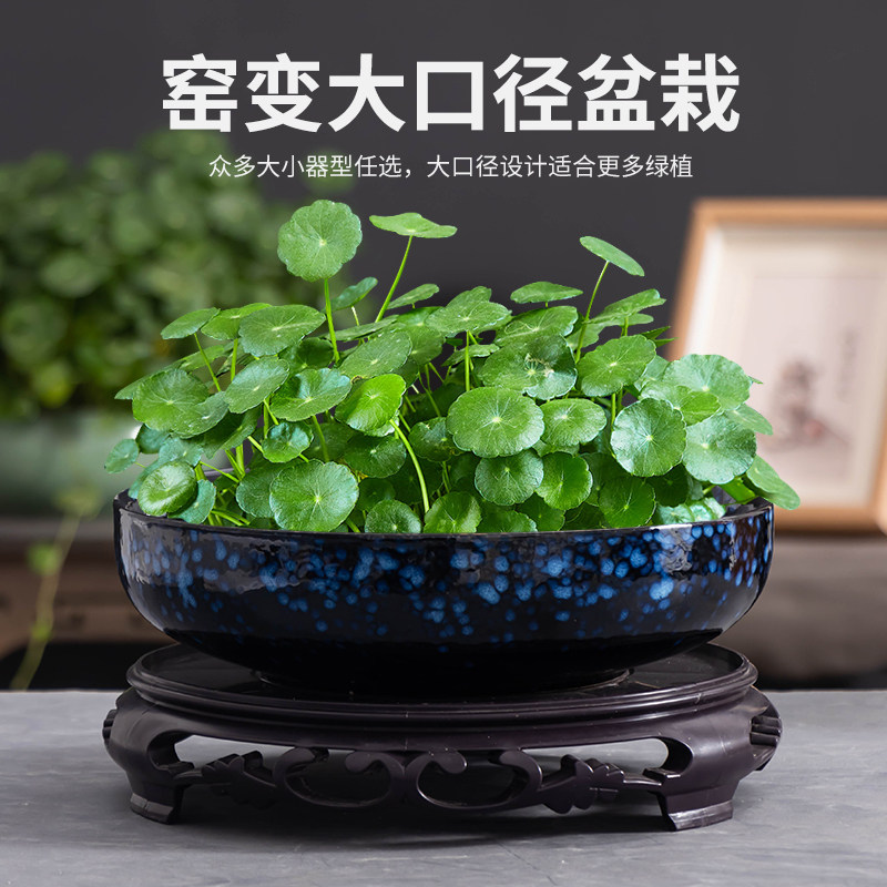 窑变创意铜钱草专用花盆厚边陶瓷水培器皿家用客厅装饰摆件带托盘,鲜花速递/花卉仿真/绿植园艺,花盆,淘宝优惠券,粉丝福利购,淘宝优惠卷
