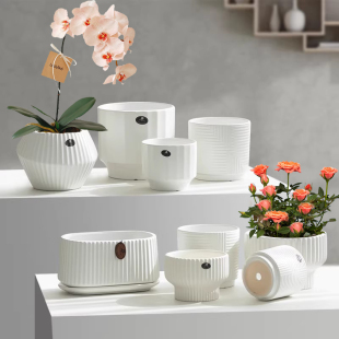 欧式 花盆陶瓷绿植盆大小号蝴蝶兰专用带托盘客厅多肉盆栽家用摆件