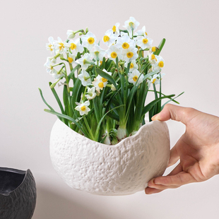 创意陶瓷水培花盆家用室内植物铜钱草水仙花绿萝专用无孔花瓶器皿