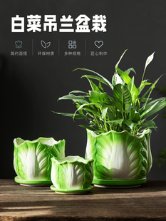 创意白菜吊兰专用花盆大口径陶瓷家用室内大小号带托盘绿植物盆栽