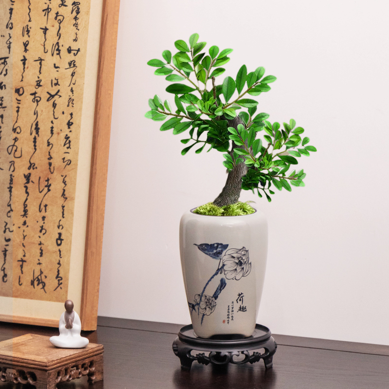 复古小叶紫檀花盆中式手绘国风家用桌面绿植盆栽盆陶瓷摆件带托