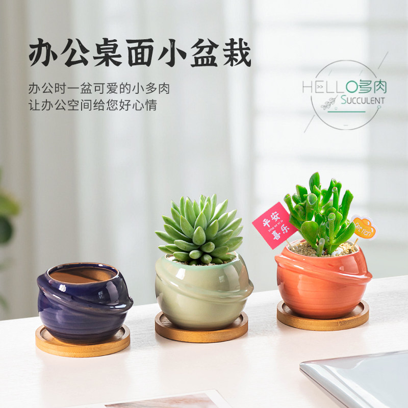 多肉小花盆个性星球造型蓝精灵肉肉植物花器北欧创意客厅桌面盆栽