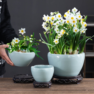 水仙花盆中式哥窑花口大口径陶瓷缸带托家用水养碗莲绿植专用花盆