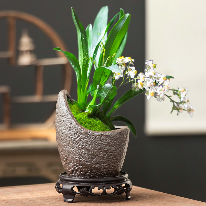 紫砂文心兰专用花盆家用桌面小号中式微景观盆栽陶瓷绿植花盆带托