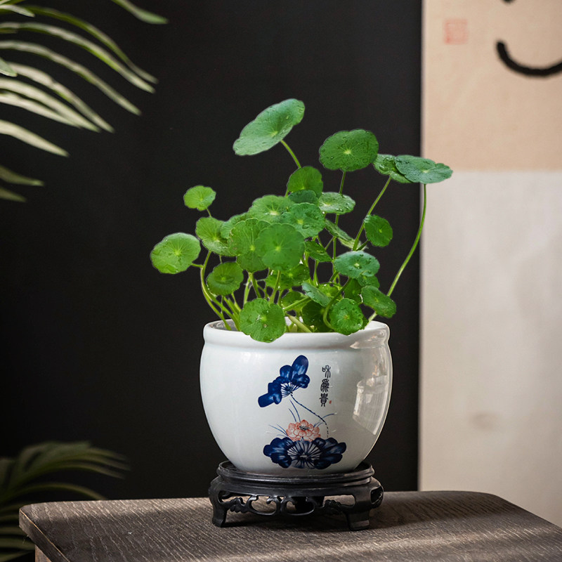 中式青花水培花盆铜钱草水仙花一叶莲绿植盆景陶瓷缸家用客厅装饰
