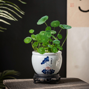 中式青花水培花盆铜钱草水仙花一叶莲绿植盆景陶瓷缸家用客厅装饰