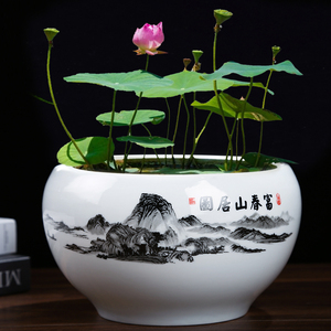 碗莲盆荷花缸景德镇经典专用水培花盆容器水养小金鱼无孔陶瓷家用