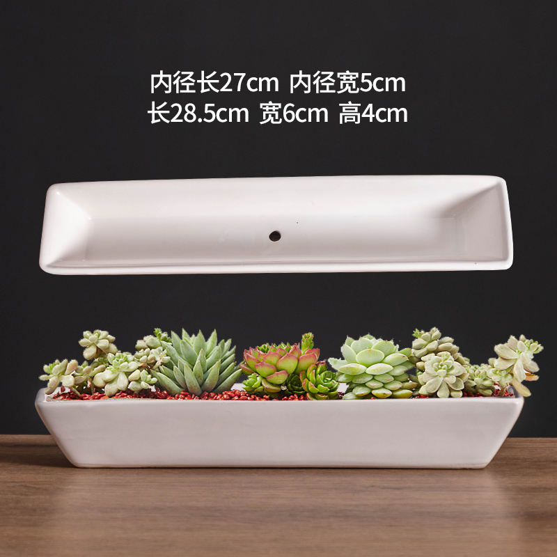 长方形多肉花盆窄长条简约白色