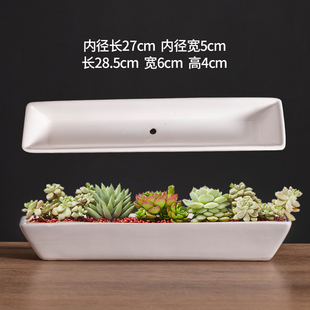 长方形多肉花盆陶瓷窄长条多肉阳台户外花卉简约白色