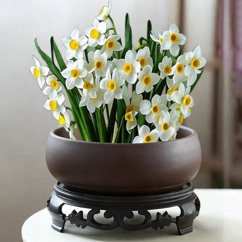 水仙花花盆水培专用紫砂盆大小口径家用桌面水仙种球植物盆栽摆件,鲜花速递/花卉仿真/绿植园艺,花盆,淘宝优惠券,粉丝福利购,淘宝优惠卷