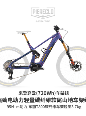 德国来登-穿云电助力Enduro软尾山地自行车碳纤维车架可拆电池