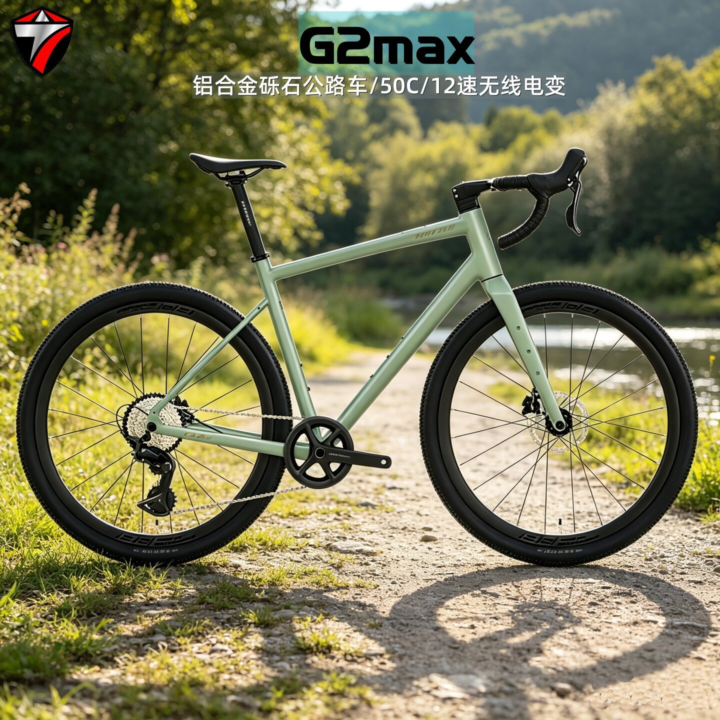 骓特G2max公路车无线电变12速