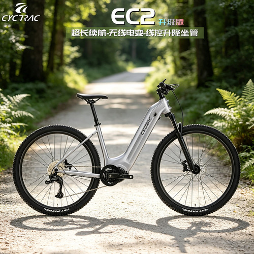 CYCTRACEC248V20A电助力山地