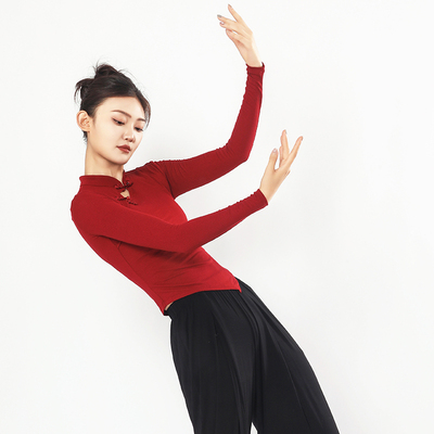 现代舞服成人国风舞练功服女中国风旗袍舞蹈服长袖古典舞修身上衣