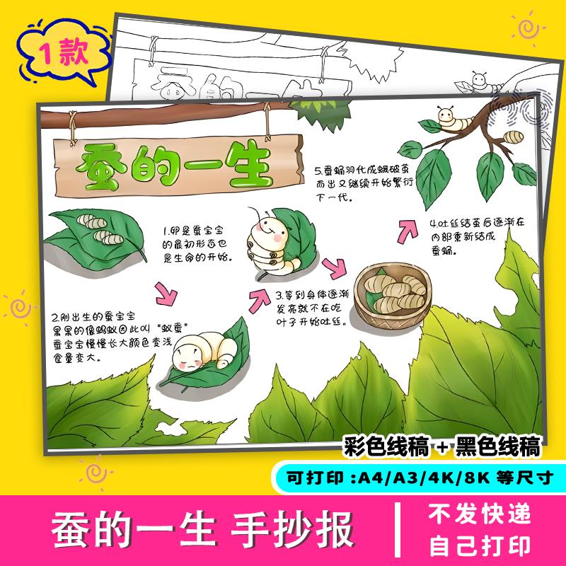蚕宝宝手抄报日记模板自然笔记成长电子版绘画小学生过程线稿记录