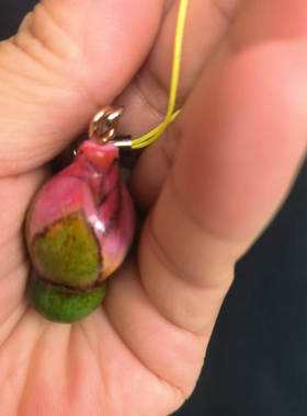 福禄葫芦手绘花骨朵手机包包钥匙挂件把玩不掉色安全无毒可爱饰品