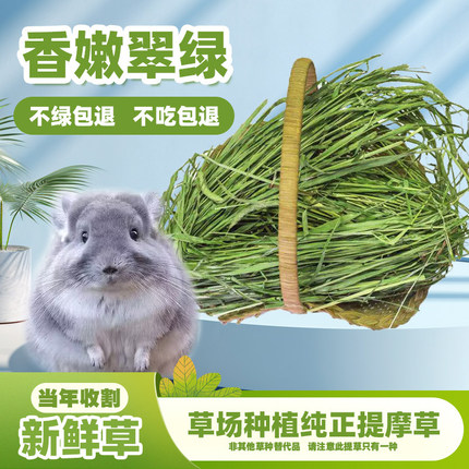 2026年新鲜提摩西草段烘烤干草兔子龙猫荷兰猪饲料草粮南北提包邮