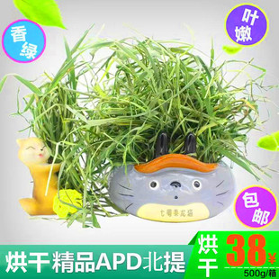 25年精品烘干特级提摩西草龙猫粮草兔子荷兰猪活物干草粮500g包邮