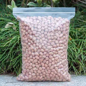 24年花生米生新货粉皮白沙散装原味新货干果零食花生生仁
