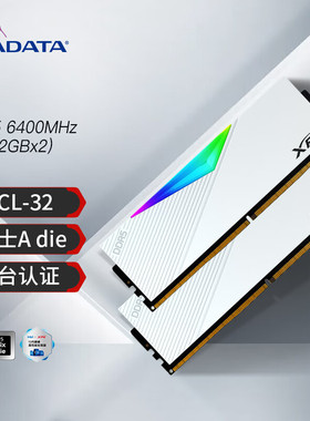 威刚龙耀XPG D500G DDR5海力士台式机电脑电竞RGB内存条适用