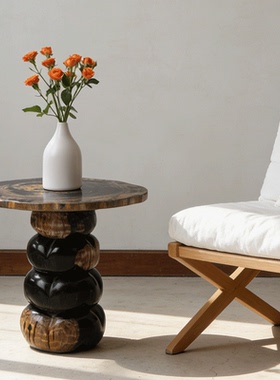 设计师款轻奢意式极简客厅硅化木沙发茶几设计师现代艺术边几角几