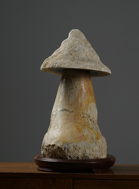 天然木化石蘑菇摆件艺术感饰物百搭创意软装客厅书房个性装饰摆件