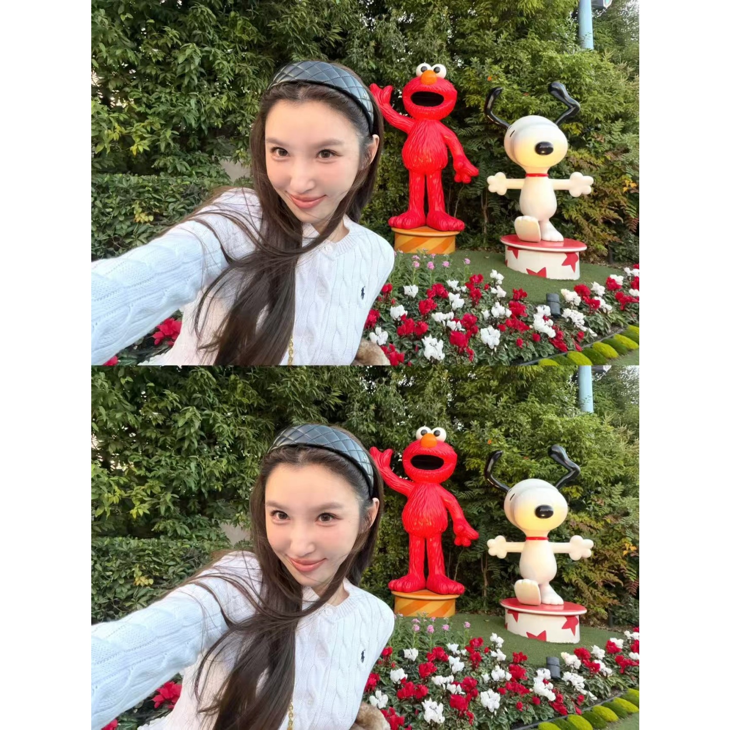 11/24 20:00 【25rl100%cotton 】三色织机纽扣开衫