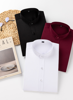 圆领纯色长袖修身日常休闲打底衫春秋高级感休闲外套白色立领衬衣