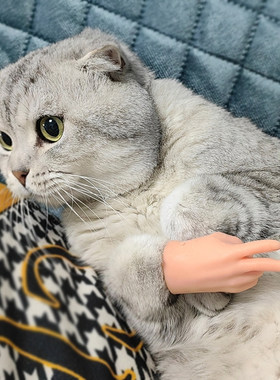 弹力拉伸猫爪鞋剪刀造型整蛊搞笑逗猫撸猫迷你手掌软胶宠物爪鞋套