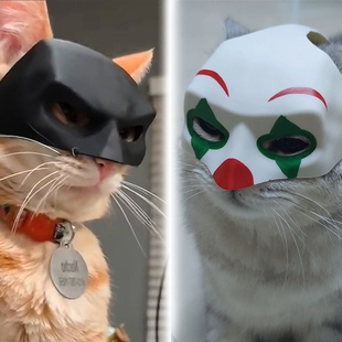 搞笑猫咪面具黑色蝙蝠小丑头型大小猫型适用万圣节派对宠物帽子