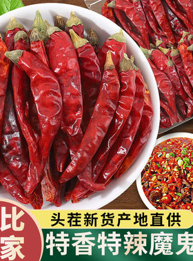 超辣印度s17魔鬼椒500g