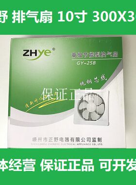 ZHye排气扇10寸300X300卫生间