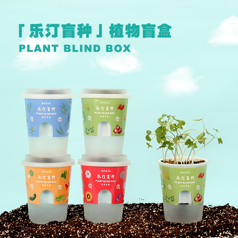 迦农会儿童种植物观察办公室小盆栽 diy盲盒花农爆款创意礼品
