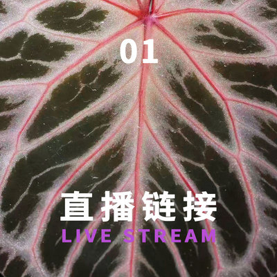 3.29 福利组合1-20