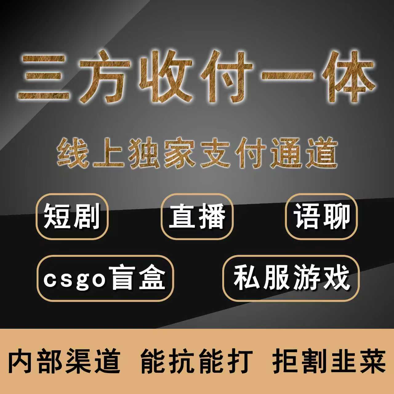 三方收付一体线上独家支付通道短剧直播语聊CSGO盲盒私服游戏
