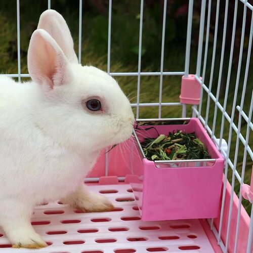 兔子食盒食盆用品食具碗松鼠荷兰猪豚鼠龙猫饲料盒粮食草架固定 - 封面