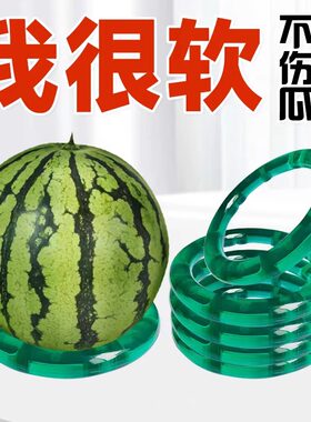 软西瓜圈防滑垫西瓜固定圈神器